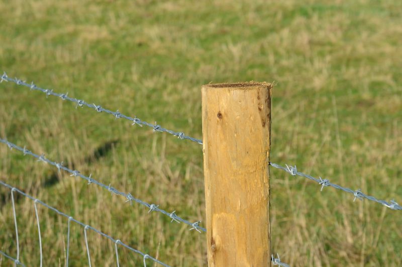 Wire Fence Replacement detail